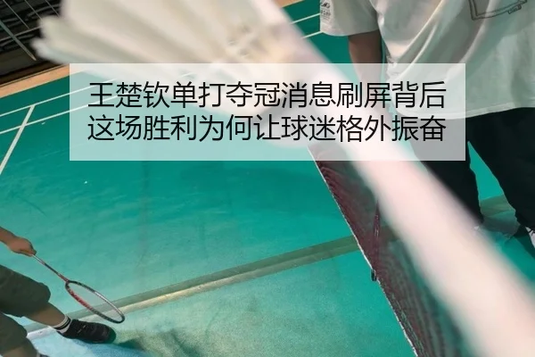 王楚钦单打夺冠消息刷屏背后 这场胜利为何让球迷格外振奋（kaiyun）