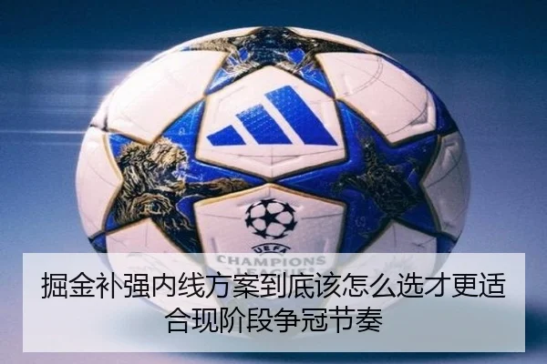 掘金补强内线方案到底该怎么选才更适合现阶段争冠节奏